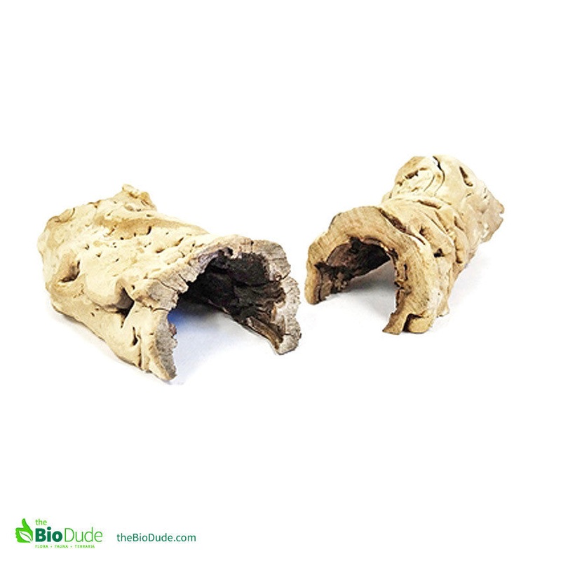 Grapewood Burl Tunnel 8-12