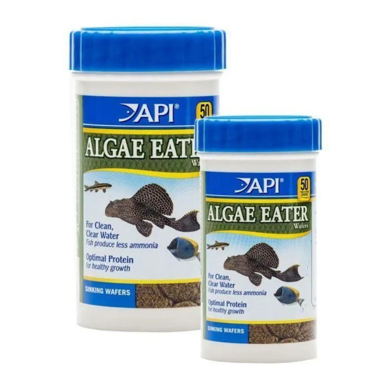 API Algae Eater Wafers 37g