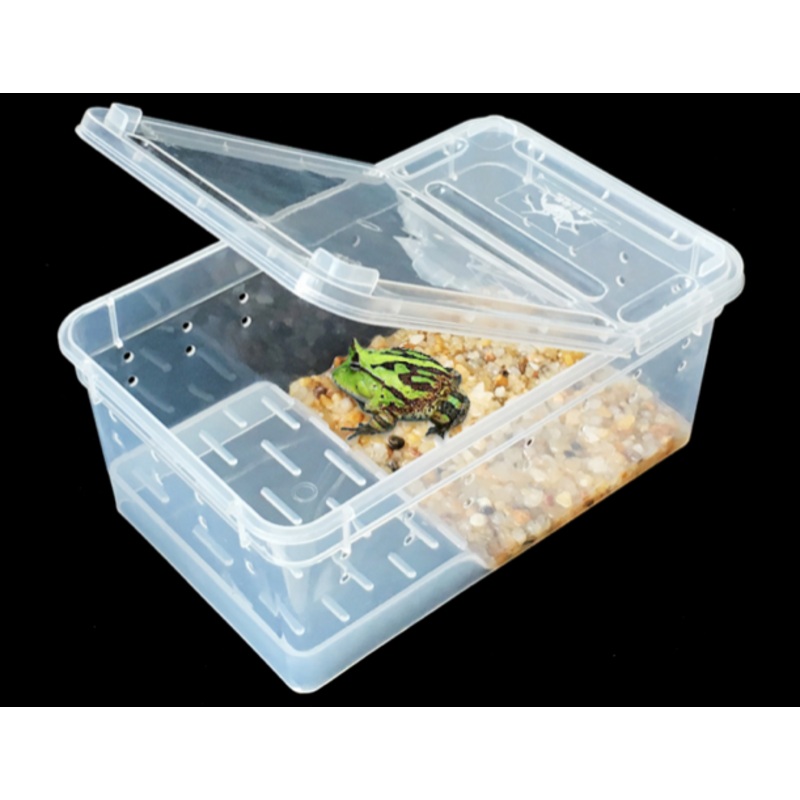 Hinged Lid Horned Frog Stackable Box S 19 x 12.5 x 7.6cm(H)