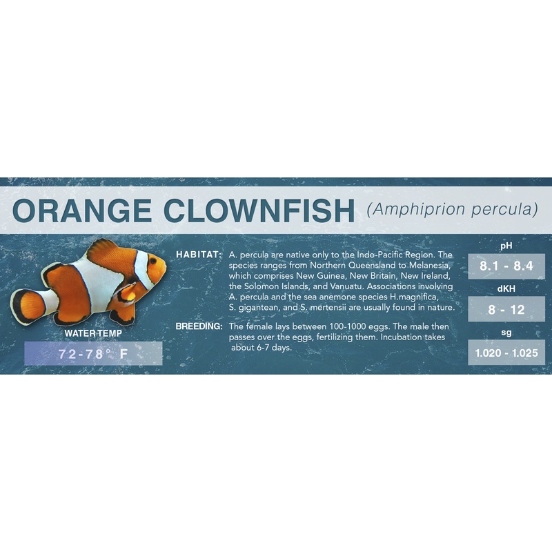 Orange Clownfish (Amphiprion percula) – Classic Aquarium Label Standard Standard Size (7″ x 2.5″)