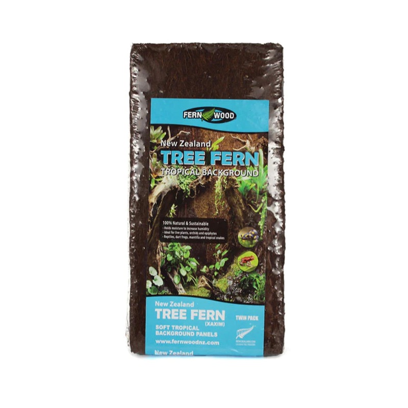 Fern Wood New Zealand Tree Fern Tropical Background Panel 12″