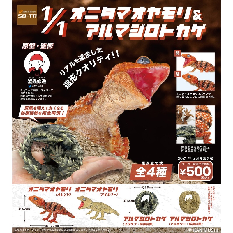 (Gashapon) Genuine 1:1 Gecko and Armadillo Lizard 1 at ramdom