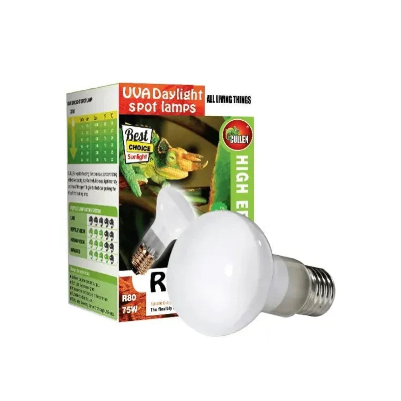 Reptile Day White Basking Spot Lamp 75w