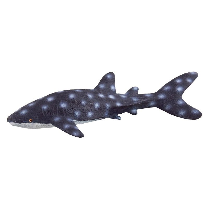 Underwater Treasures Blue Shark
