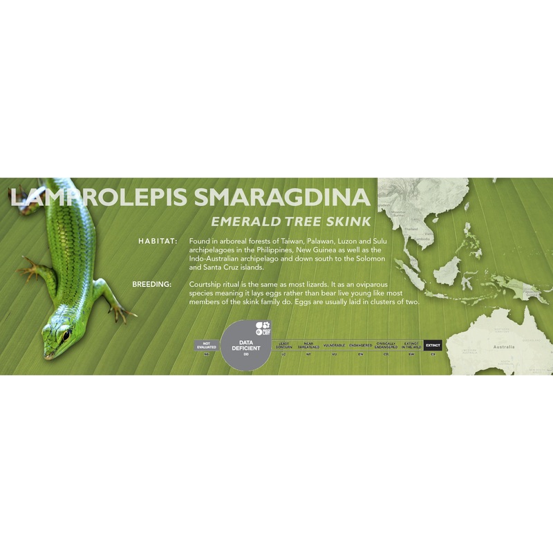 Emerald Tree Skink (Lamprolepis smaragdina) Classic Vivarium Label