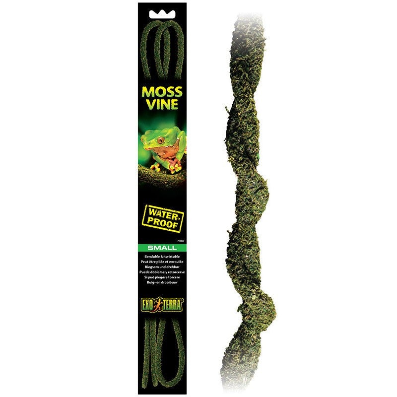 Exo Terra Moss Vine Small