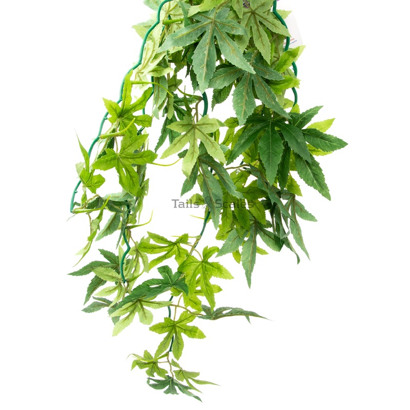 Aquaglobe Silk Green Maple (Special Order Product)