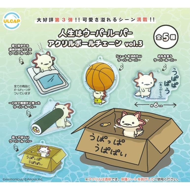[Capsule Toy] Life is Axolotl Acrylic Ball Chain 03 – Random Signal Type 1 at random