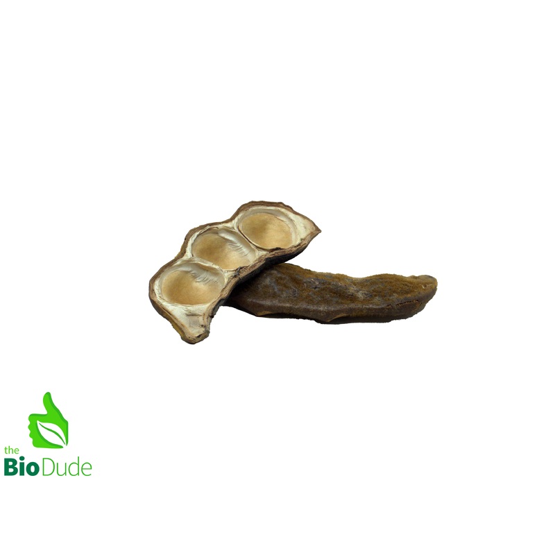 Bean Olho Pod
