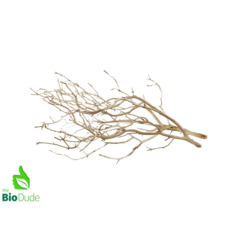 Natural Manzanita Full Branch(Sandblasted) – Intricate 16″-20″