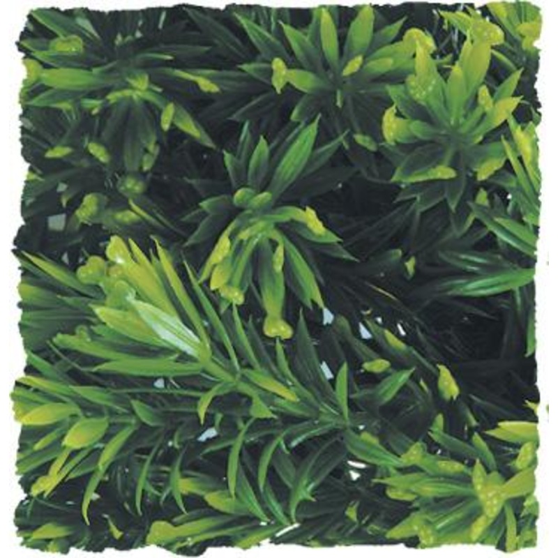 Zoo Med Naturalistic Flora – Borneo Star Small (10″ long)