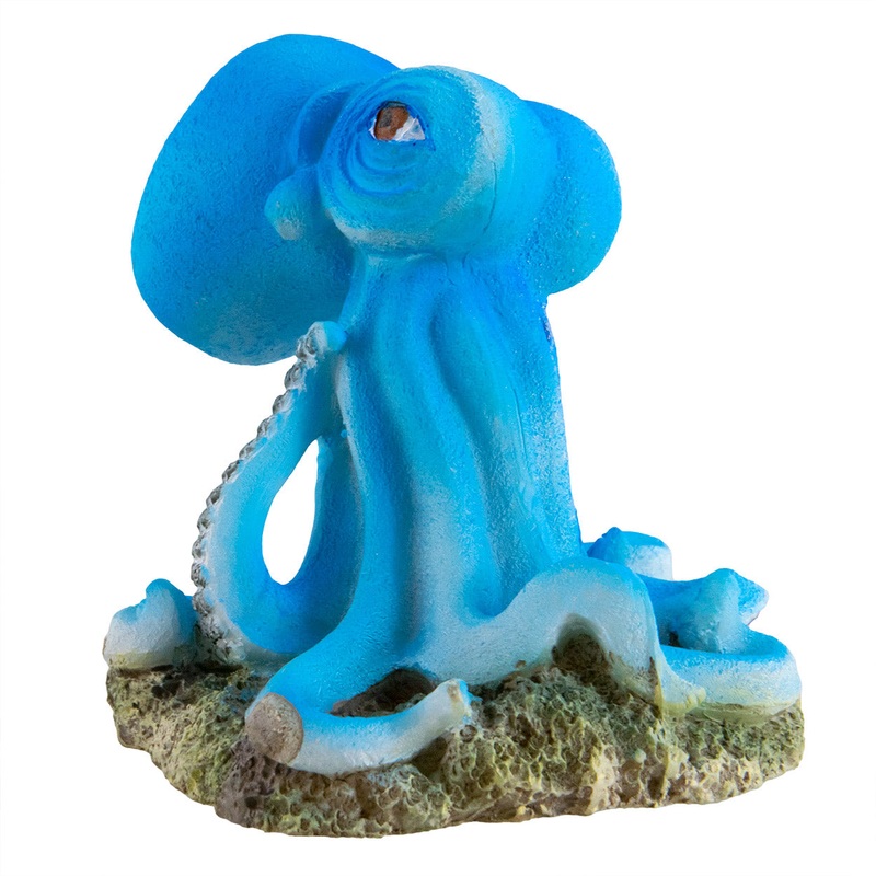 Underwater Treasures Octopus – Blue