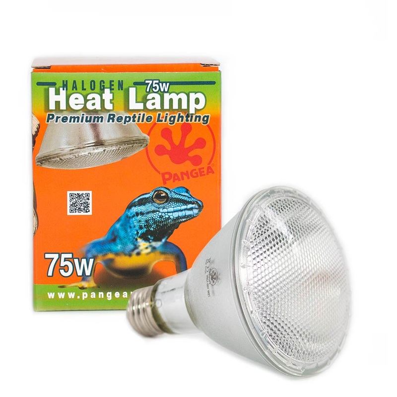 Pangea Halogen Heat Lamp 50 Watt Single