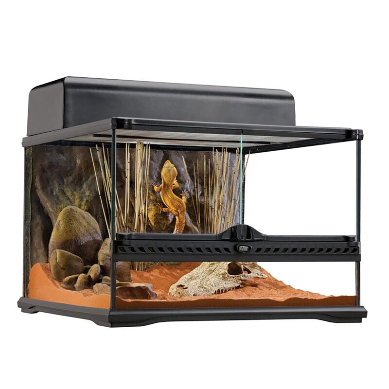 Warehouse Pickup Only – Exo Terra 18″x18″x12″ Glass Terrarium