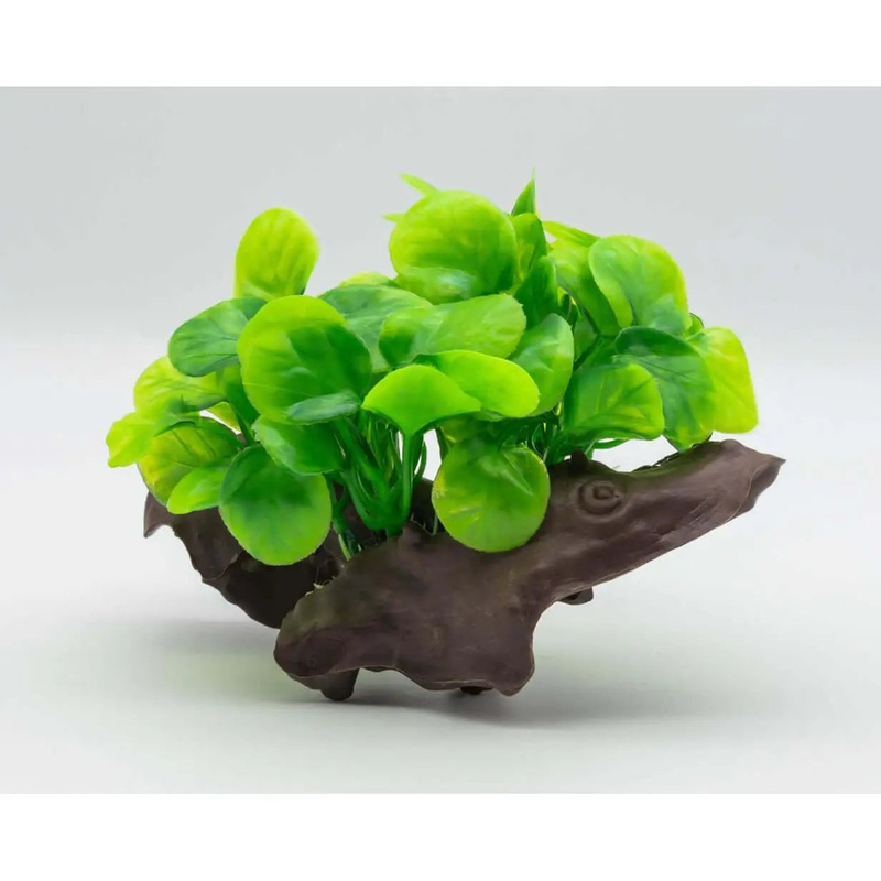 AquaSpectra Anubis on Log 18cm Green