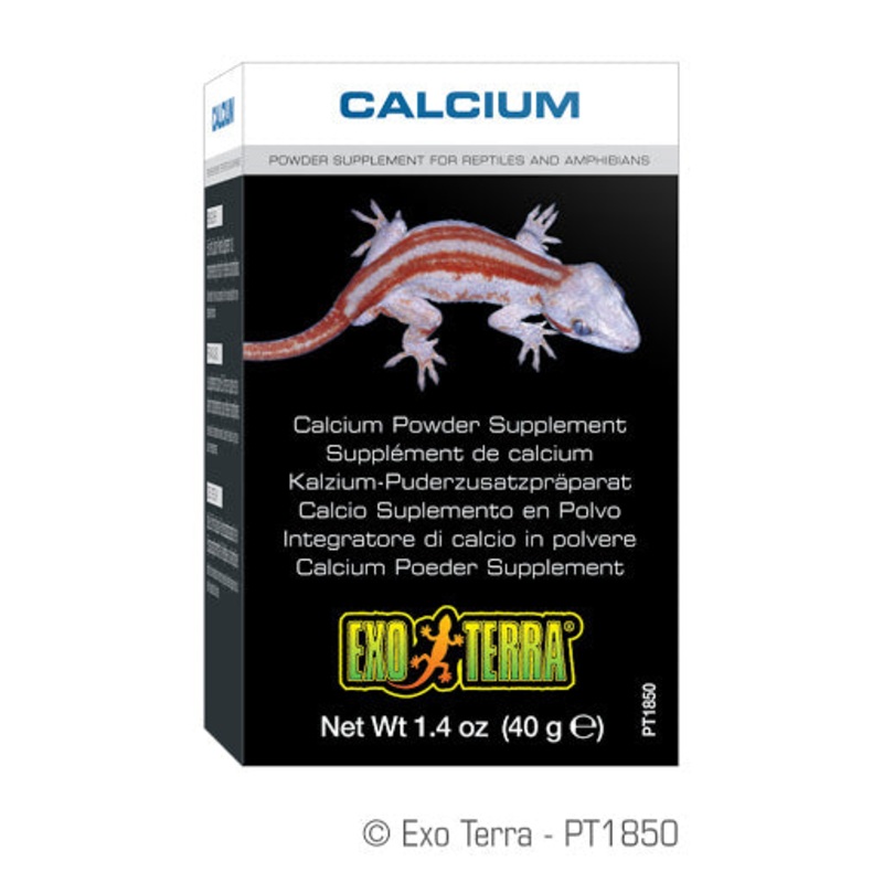Exo Terra Reptile Calcium Powder PT1850 40g