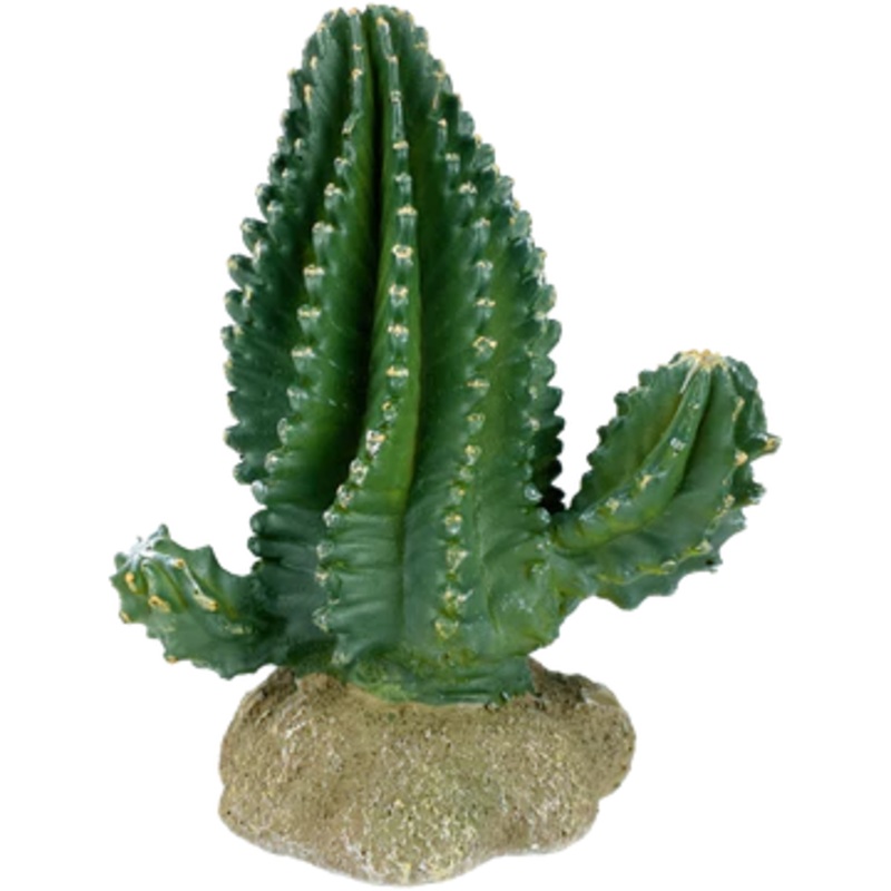 Komodo Columnar Cactus 5.9″