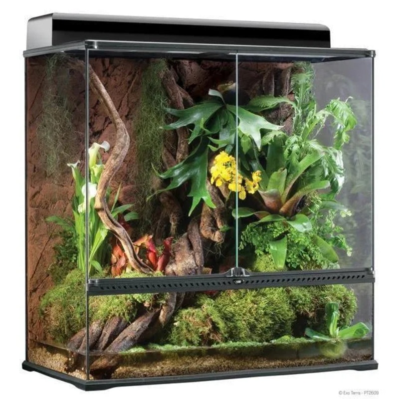 Exo Terra Large X-Tall Terrarium