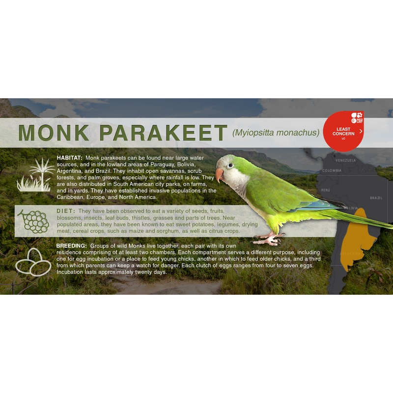 Monk Parakeet (Myiopsitta monachus) – Aluminum Sign No SmartShield