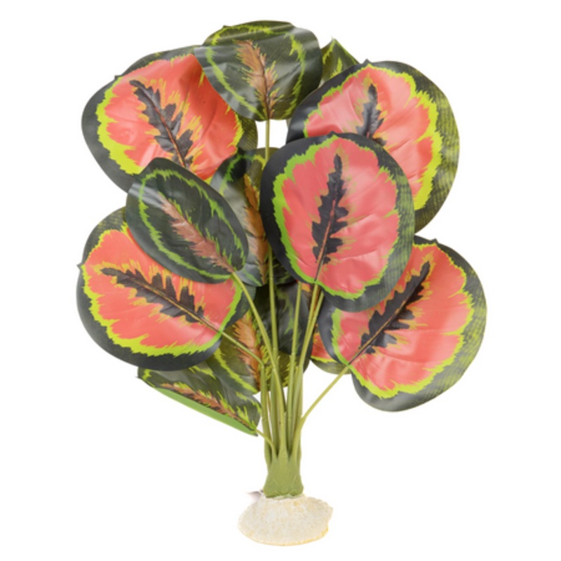 Aquaglobe Silk Red Calathea W/ Green Stem 20″