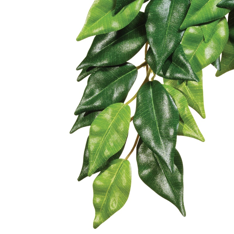 Exo Terra Hanging Silk Plants-Ficus Small