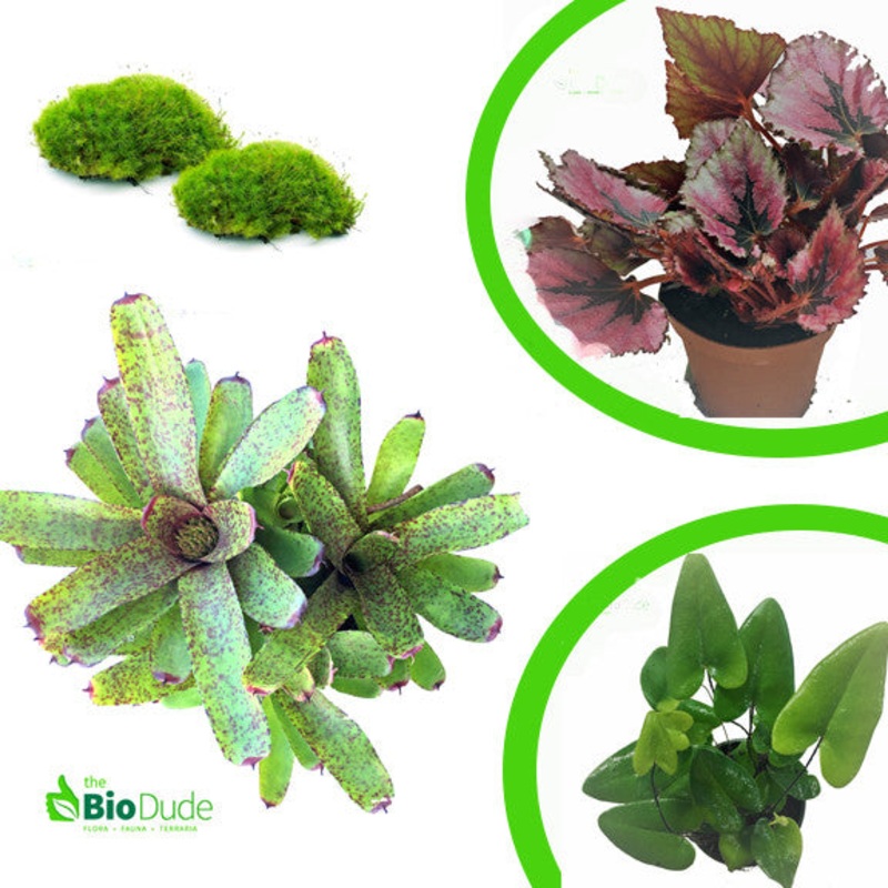 Terra Flora Premium Plant Kit 10 gallon