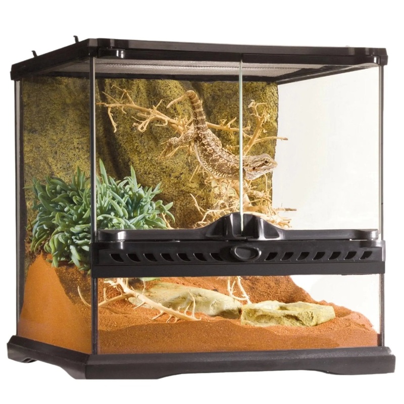 Exo Terra Glass Terrarium Mini Wide – 30x30x30cm
