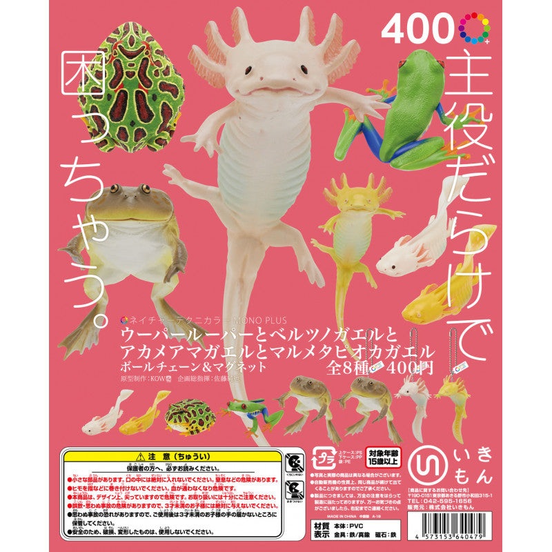 (Gashapon) Axolotl, Cranwell’s horned frog, red-eyed treefrog and llanos frog (8 types in total) 1 at random