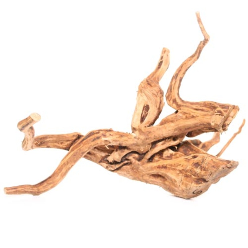 Underwater Treasures Terrarium Wood Small 8-12″