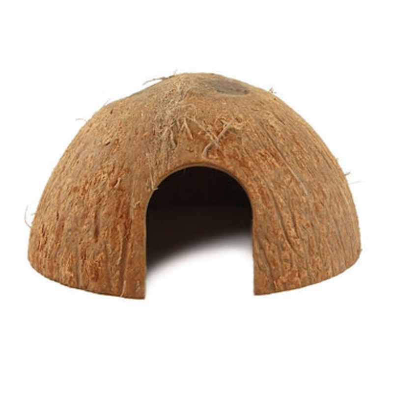Coconut Hut