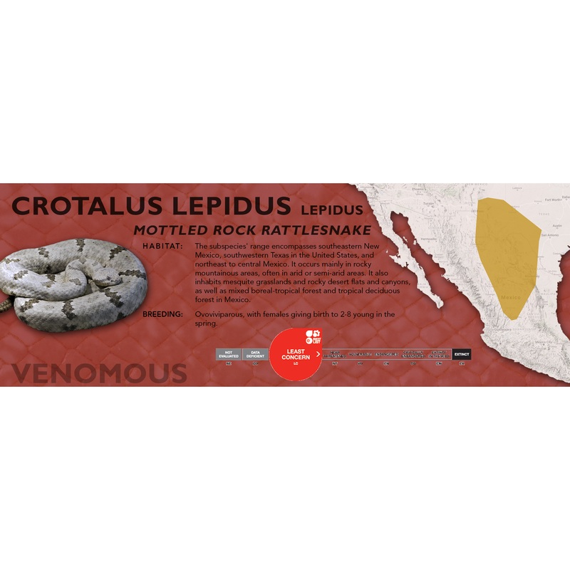 Mottled Rock Rattlesnake (Crotalus lepidus lepidus) Classic Vivarium Label Original