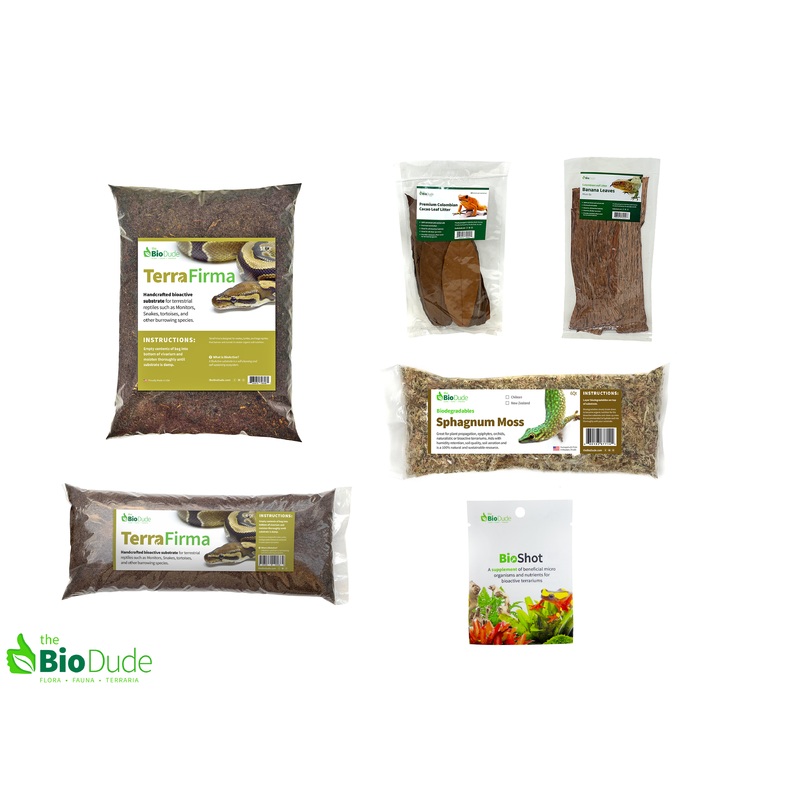 Terra Firma Bioactive Kit 20 gallon long
