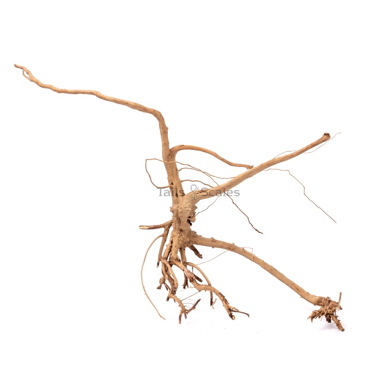 Aquaglobe Spider Wood