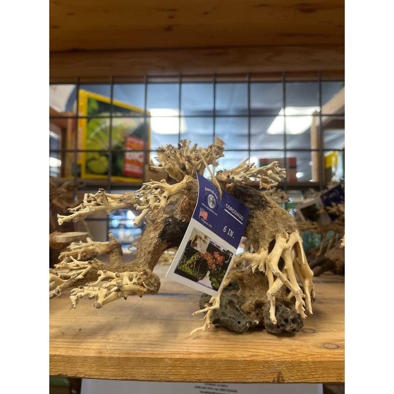 Corcovado Wood