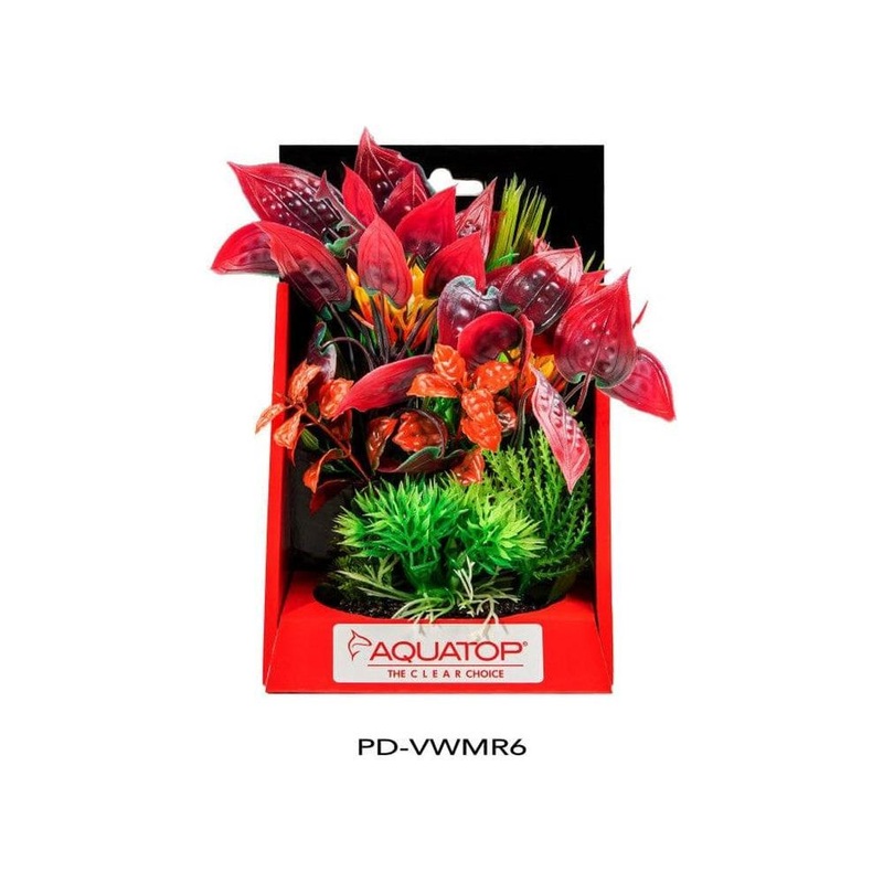 Aquatop Vibrant Wild Plant Mixed Red, 1ea/6 in
