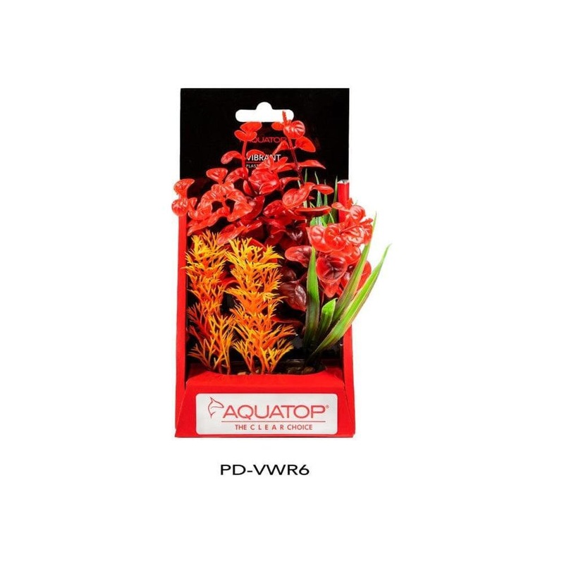 Aquatop Vibrant Wild Plant Red, 1ea/6 in