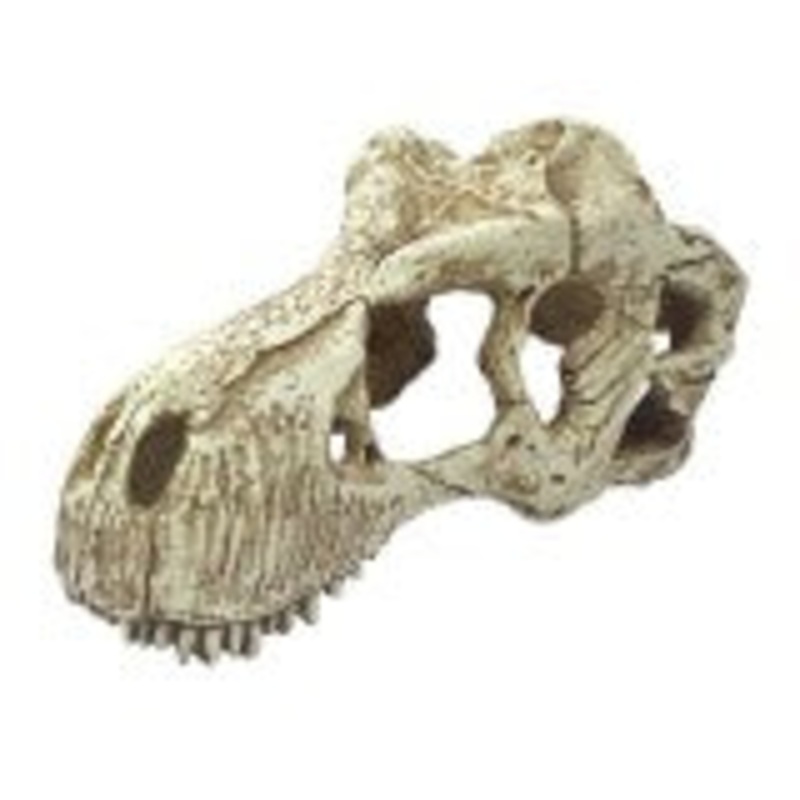 Komodo T-Rex Skull Reptile Hide LG 6.7in
