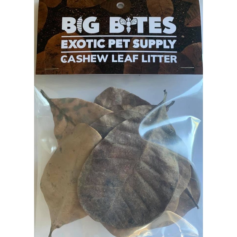 Big Bites Cashew Leaf Litter 10-Pack