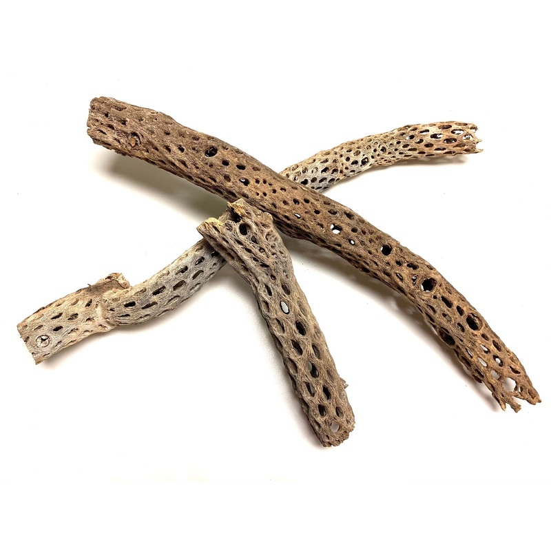 Cholla Wood 4″ – 7″