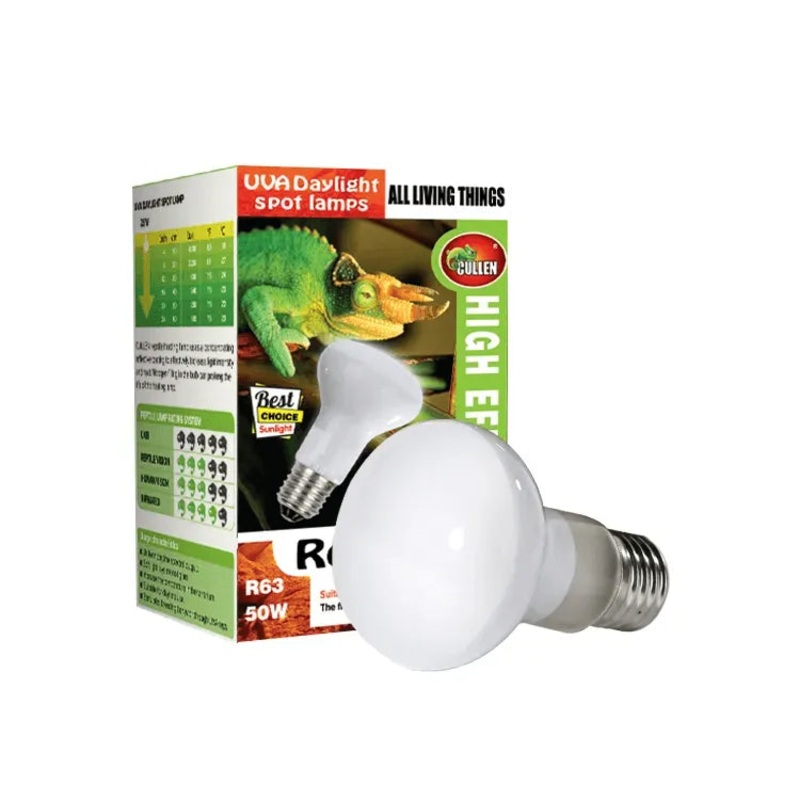 Reptile Day White Basking Spot Lamp 50w