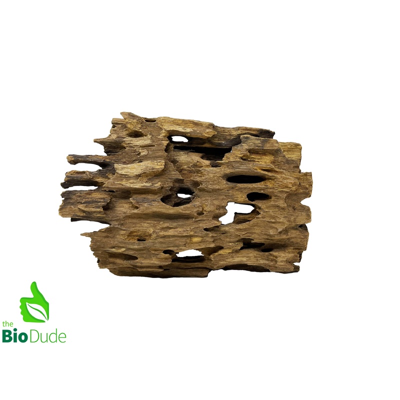 Dragon Driftwood Extra Small 4″ – 5″