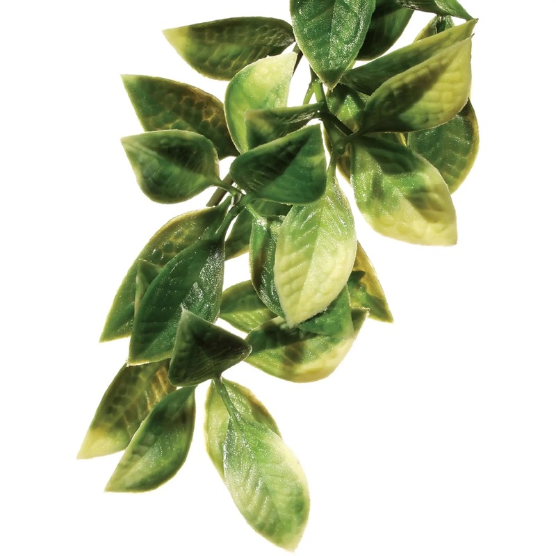 Exo Terra Plastic Plant Mandarin Medium