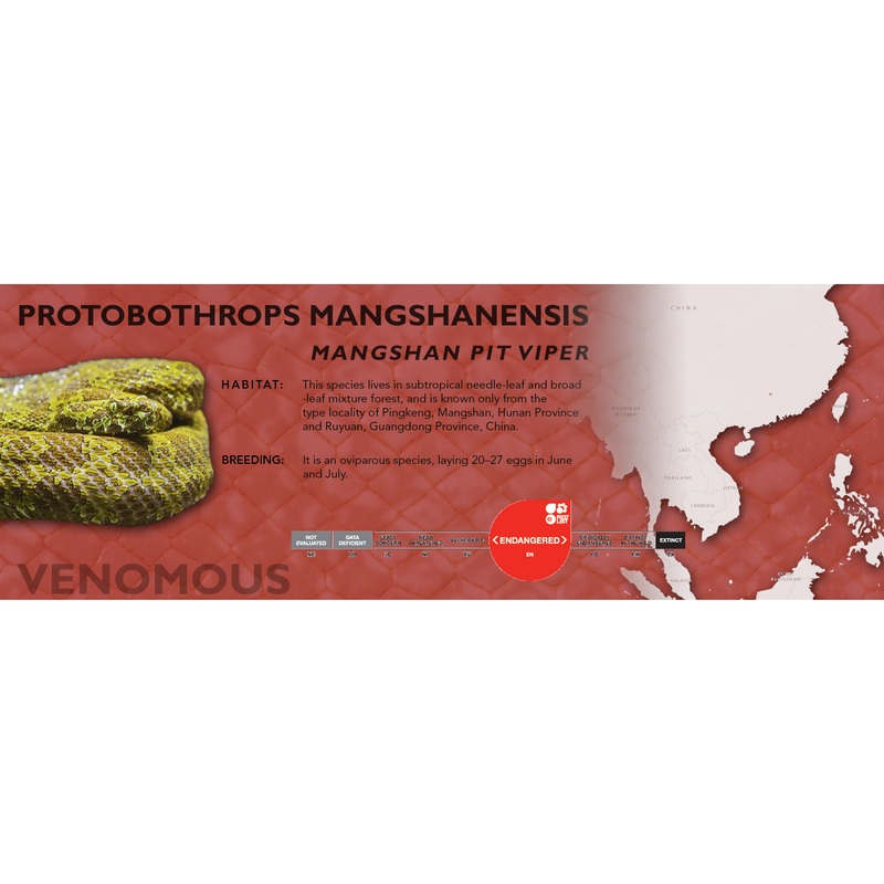 Mangshan Pit Viper (Protobothrops mangshanensis) Classic Vivarium Label Original