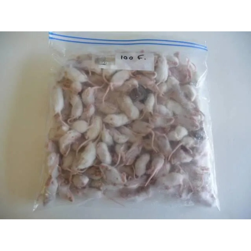 Bulk Frozen Fuzzie Mice (100)