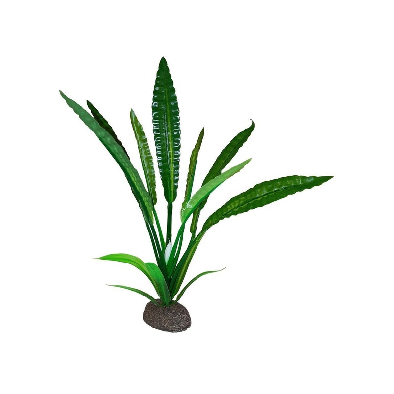 Fluval Betta Water Trumpet Plant – 20 cm (8 in)