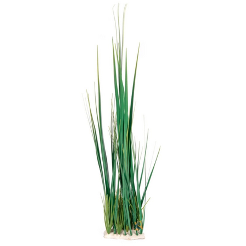 Aquaglobe Spike Group Plant 33″ (Special Order Product)