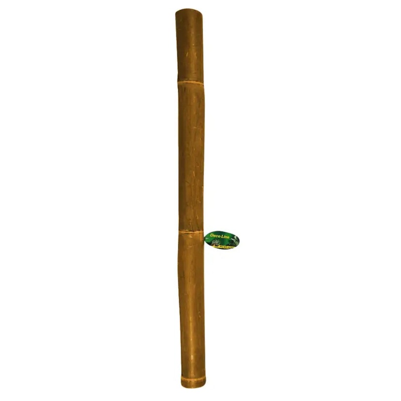 Lucky Reptile Bamboo Stick 3cm x1m