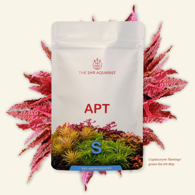 2HR Aquarist APT Sky – Remineralizer 70g