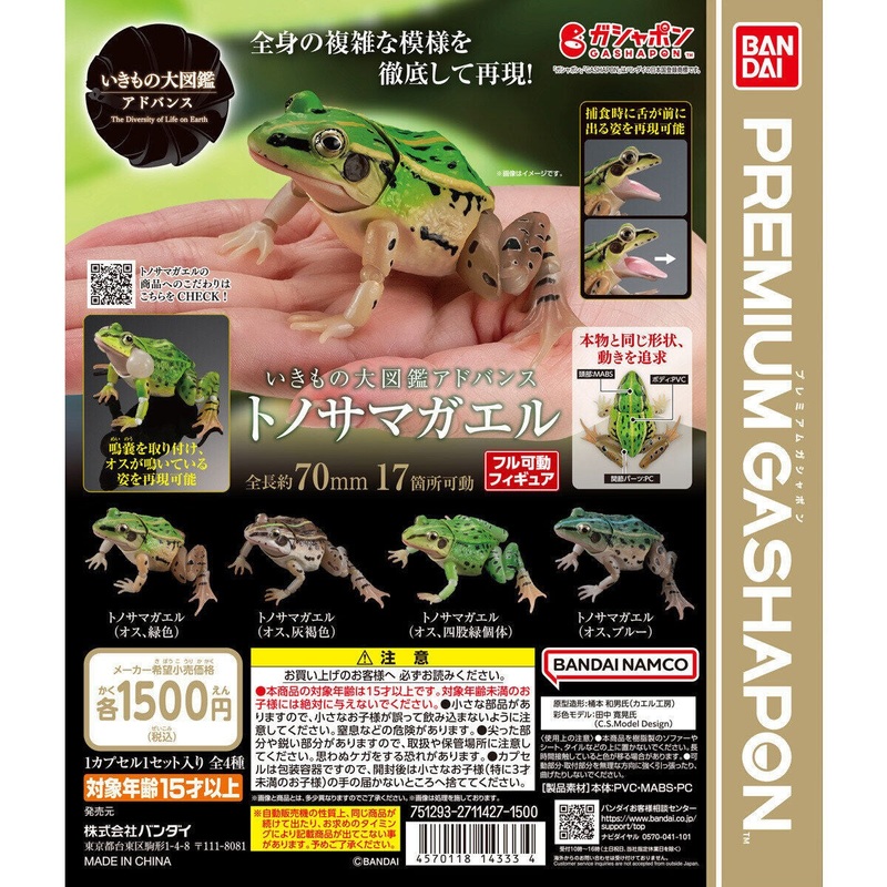 [Bandai Capsule] The Diversity Of Life On Earth Pelophylax Nigromaculatus – Random Signal Type 1 at ramdom