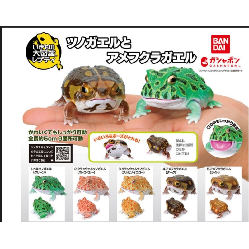 [Capsule Toy] The Diversity Of Life On Earth Repti Ceratophrys & Breviceps Adspersu – Random Signal Type 1 at ramdom